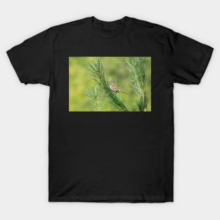 Bed Of Needles T-Shirt